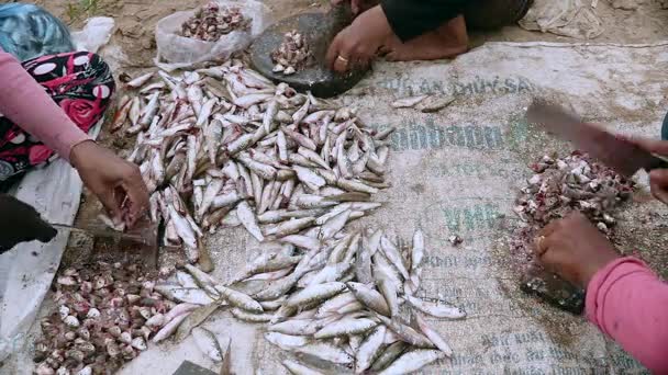 Frauen schneiden kleinen Fischen auf runden Holzbrettern am Boden mit Fleischermessern den Kopf ab (Zeitraffer)) — Stockvideo