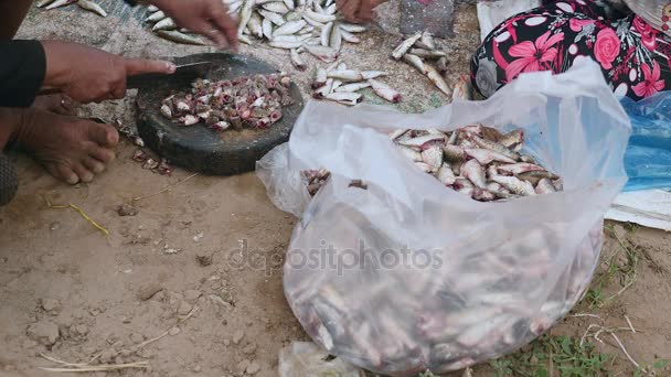 Mulheres cortando a cabeça de pequenos peixes em tábuas de madeira redondas no chão usando facas de açougueiro (close-up  ) — Vídeo de Stock