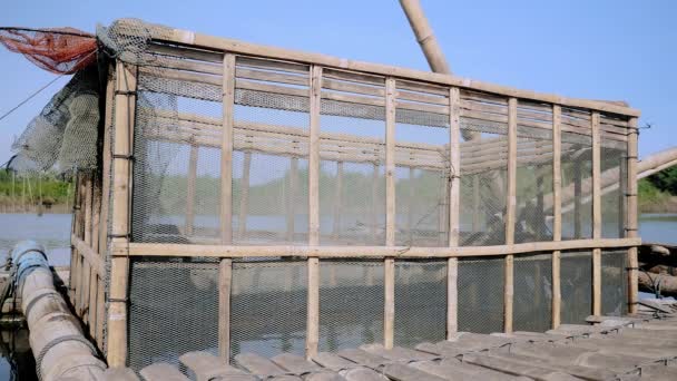 Skoki ryby zrobione wewnątrz skrzyni ryb bambus stałe do łodzi (zbliżenie ) — Wideo stockowe
