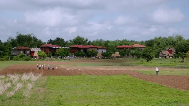 Vista a distancia de los agricultores excavando campos y plantando semillas — Vídeos de Stock