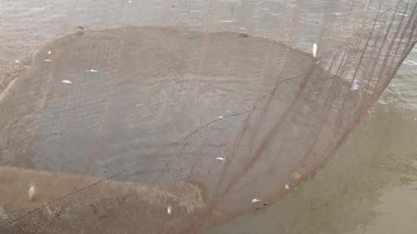 Fischer mit einem Handnetz, um Fische aus einem chinesischen Fischernetz zu fischen (extreme Nahaufnahme ) — Stockvideo
