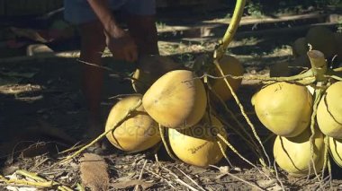 Hindistan cevizi satıcı doğrama takip ediyor--dan a demet-in onun balta ile Hindistan cevizi (yakın )