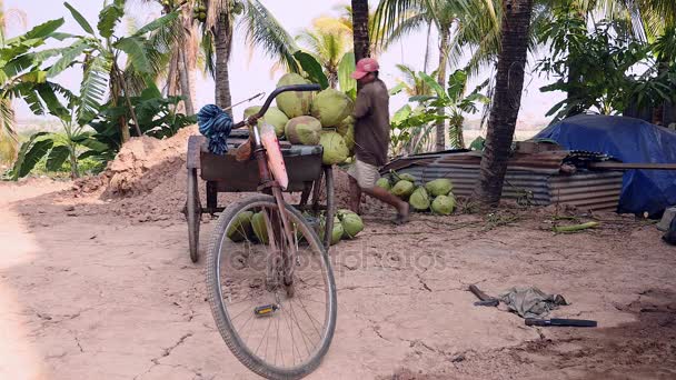 Kokosnoot verkoper zijn fiets aanhangwagen geladen met zware trossen van kokosnoten koop — Stockvideo