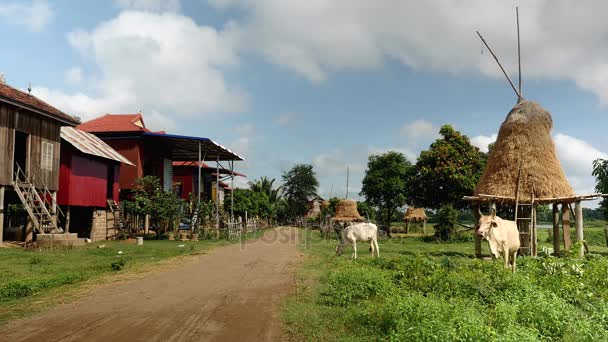 Casas de aldeia e palheiros em palafitas em cada lado de uma estrada rural — Vídeo de Stock