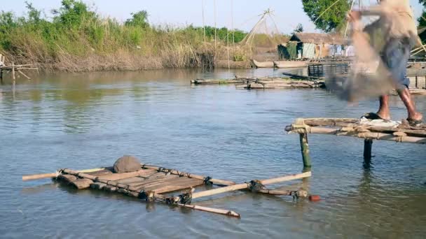 Chiudere su una rete di colata di pescatore in uno stagno da una piccola piattaforma di legno . — Video Stock