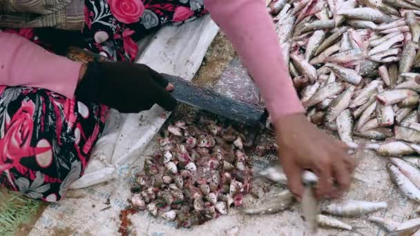 Mulher cortando a cabeça de pequenos peixes em uma tábua redonda de madeira no chão usando uma faca de açougue (lapso de tempo ) — Vídeo de Stock