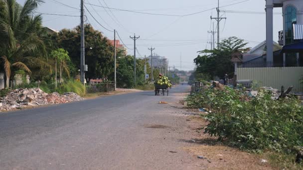 Vista trasera de un vendedor de coco tirando de su remolque en bicicleta cargado de racimos de cocos verdes en la calle — Vídeos de Stock