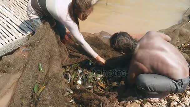 Pescadores (esposa e marido) pegam peixes de plantas aquáticas em uma rede de pesca e jogam-nos no fundo de uma canoa de madeira — Vídeo de Stock