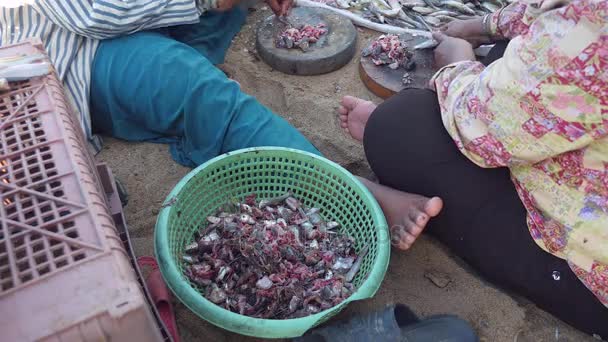 Mulheres cortando a cabeça de pequenos peixes em tábuas de madeira redondas no chão usando facas de açougue; Bacia verde com resíduos de peixe em primeiro plano (lapso de tempo ) — Vídeo de Stock