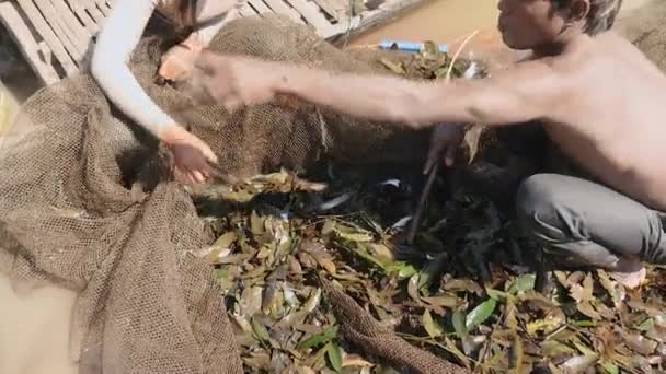 Rybáři (manželka a manžel) třídění úlovku ryb od vodních rostlin v rybářské sítě a hodil ji v dolní části dřevěné dlabané kánoe — Stock video