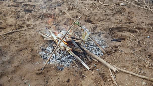 Close up van vissen grillen boven open vuur — Stockvideo