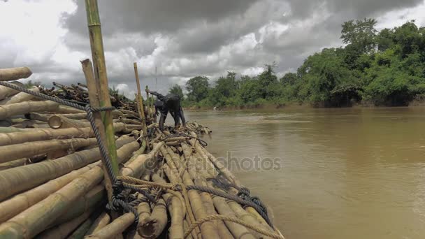 Víz-szint kilátás a munkavállalók stack azonos méretű bambusz pólusok fel a víz mentén a folyóparton — Stock videók