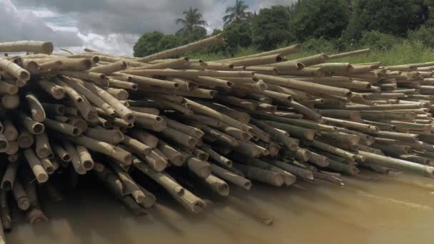 Vista de cerca del nivel del agua en pilas de postes de bambú atados y almacenados en agua a lo largo de la orilla del río — Vídeos de Stock