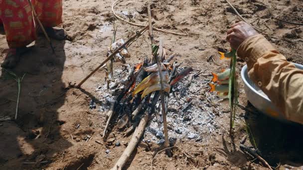 Gros plan d'un pêcheur ajoutant de petits poissons dans un bambou fendu placé sur un feu ouvert — Video