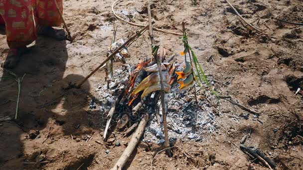 Gros plan des poissons grillés sur le feu ouvert — Video