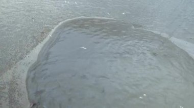 Balıklar çekmek için bir el net kullanılması Fisher yakalanan balık ağı bir Çin dışında (aşırı kapat )