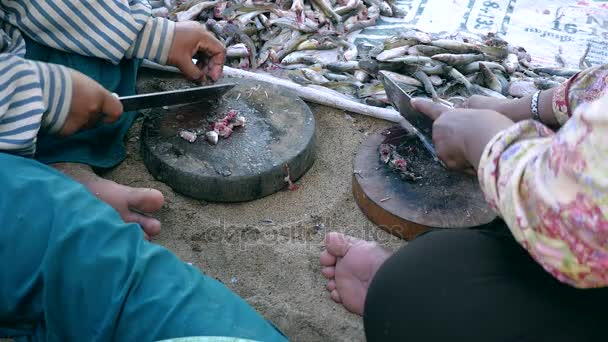 Kasap bıçak kullanarak yere yuvarlak ahşap kurullarında küçük balıklar kesme kadın kapalı kafa — Stok video