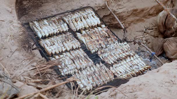 Mujer cubriendo pescado a la parrilla en la barbacoa en el suelo con cartón (primer plano  ) — Vídeos de Stock