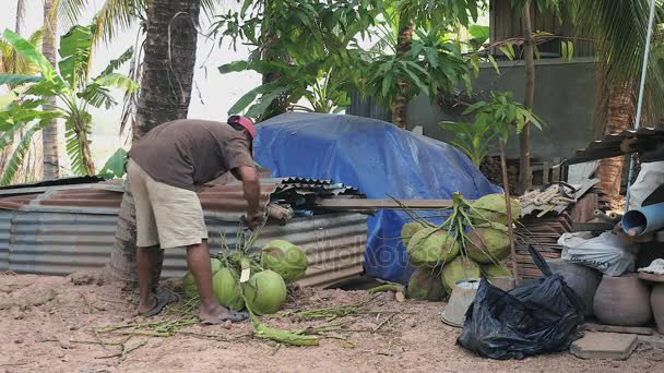 Vendeur de noix de coco hachant des tiges de grappes de noix de coco avec sa hachette — Video