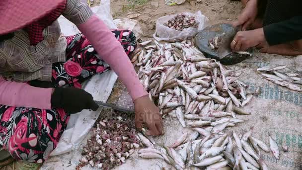 Kvinnor skära småfiskar som iväg på runda träskivor på marken med hjälp av slaktare knivar (tidsinställd) — Stockvideo