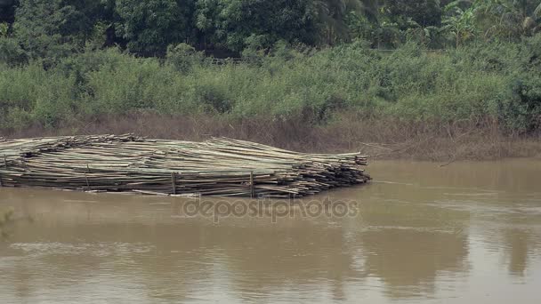 Pilhas de postes de bambu amarradas e armazenadas em água na borda de uma densa área de floresta tropical — Vídeo de Stock