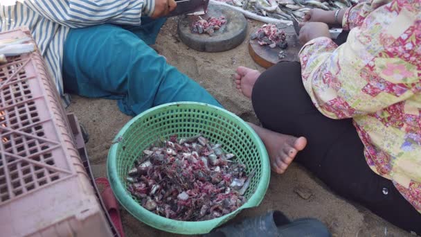 Frauen schneiden kleinen Fischen auf runden Holzbrettern am Boden mit Fleischermessern den Kopf ab; im Vordergrund grünes Becken mit Fischabfällen — Stockvideo