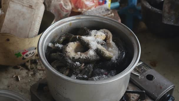 Gros plan sur la cuisson des serpents dans de l'eau bouillante dans une casserole en acier — Video