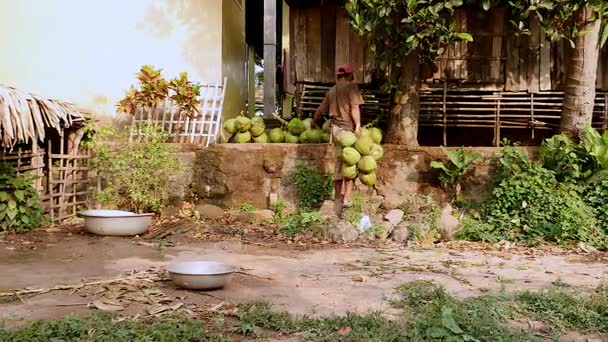 Vendedor de coco poniendo racimos de cocos juntos — Vídeo de stock