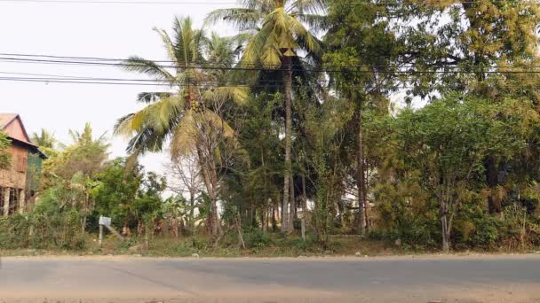 Vendedor de coco montando su remolque de bicicleta cargado de racimos enteros de cocos en una carretera rural — Vídeos de Stock