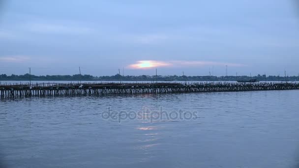 Bamboo bridge over the Mekong river with overcast sunset in the background — Stock Video