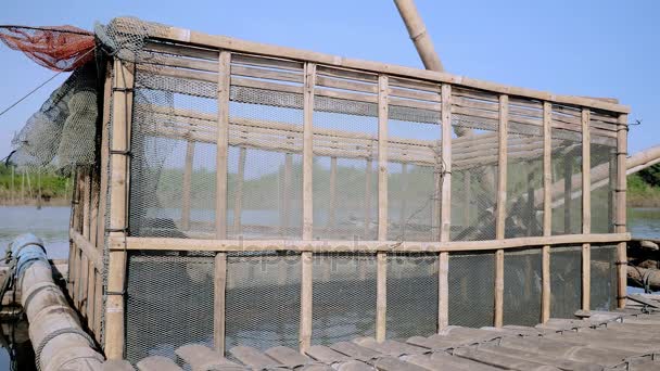 Skoki ryby zrobione wewnątrz skrzyni ryb bambus stałe do łodzi (zbliżenie ) — Wideo stockowe