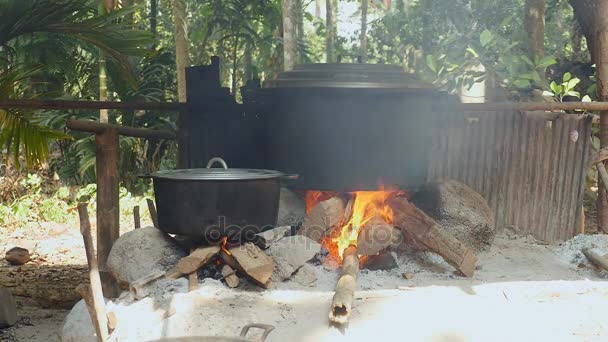 Grande panela cozinhar sobre fogo aberto em madeira e pedra (close-up  ) — Vídeo de Stock