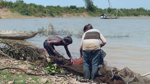 Pêcheurs (épouse et mari) collectant les prises de poissons dans un filet déployé dans les eaux peu profondes de la rivière — Video