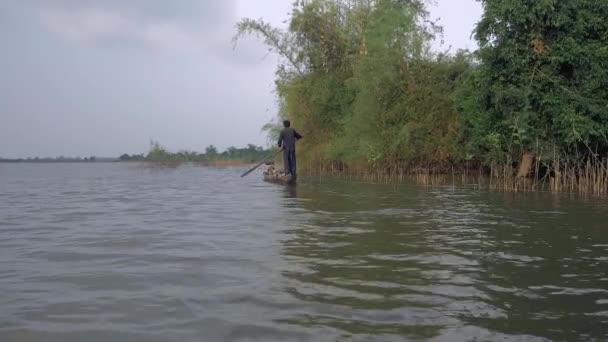 Zadní pohled na rybáře, Pádlový člun na jezero lemované s tropickou vegetací — Stock video