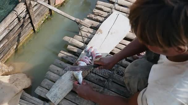 Vista superior de um aquicultor cortando peixes para alimentar peixes em uma caixa de bambu fixada em uma casa flutuante — Vídeo de Stock