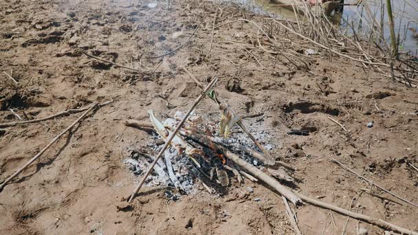 Gros plan d'une femme ajoutant de petites branches pour garder le feu ouvert brûlant sous les poissons grillés — Video