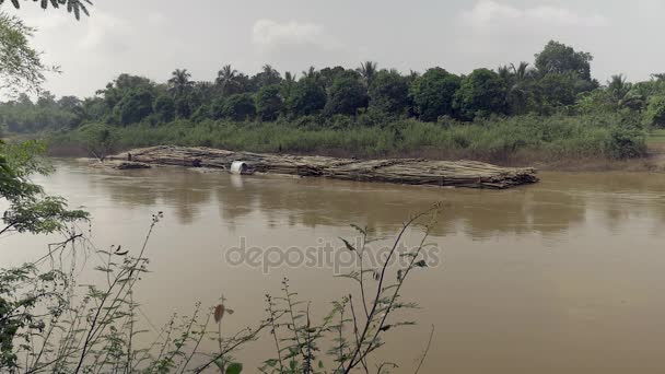 Montones de postes de bambú atados y almacenados en agua en el borde de una densa área de selva tropical — Vídeos de Stock