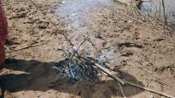 Poissons grillés à l'extérieur : gros plan d'une femme qui brûle et cuit du poisson au-dessus du feu — Video