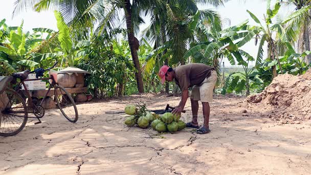 Vendedor de coco tallos de corte de racimos de cocos con su hacha — Vídeos de Stock