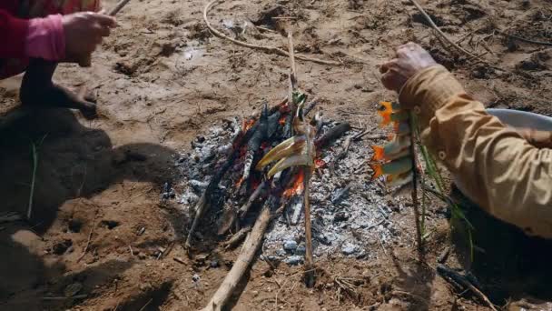 Gros plan d'un pêcheur ajoutant de petits poissons dans un bambou fendu placé sur un feu ouvert — Video