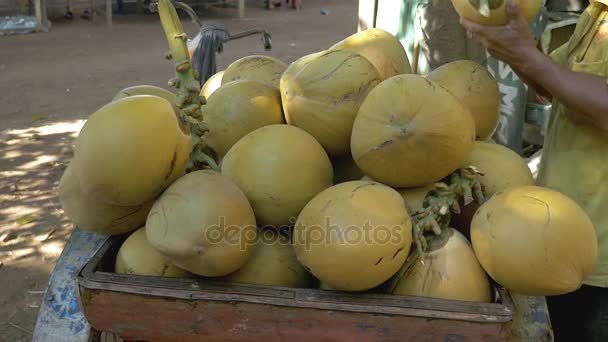 Kokosový prodávající načítání jeho přívěs za kolo s hrozny kokosy na prodej (Detailní záběr ) — Stock video