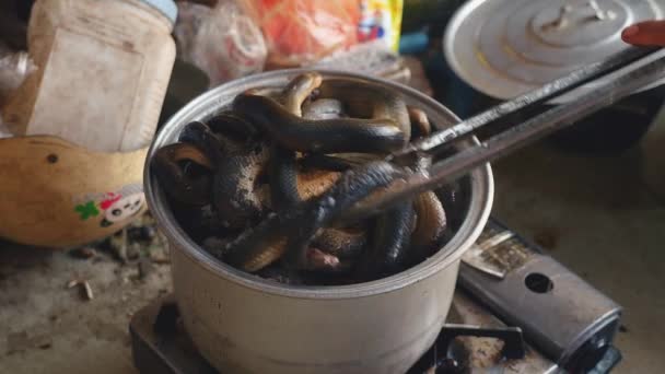 Close-up van vrouw verwijderen gekookt slangen van een stalen pot met behulp van metalen tangen — Stockvideo