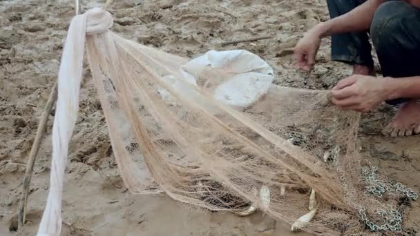 Pescador removendo peixe enredado de sua rede e mantendo-o em um saco de plástico — Vídeo de Stock