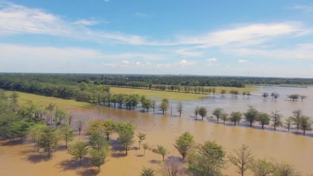 Вид з повітря: низький рівень польоту над затопленими сільськогосподарськими полями — стокове відео