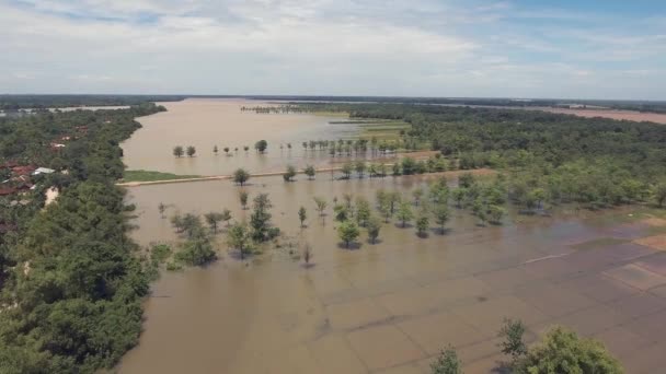 Vedere drone: zbura peste câmpurile agricole inundate — Videoclip de stoc