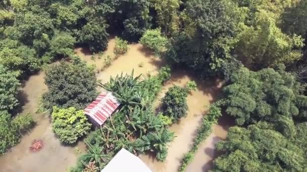 Drohnenblick: senkrecht über überfluteten ländlichen Häusern im Grünen zurückfliegen — Stockvideo