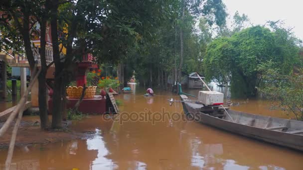 Back view of a woman paddle in a life buoy through flood waters in rural area — Stock Video