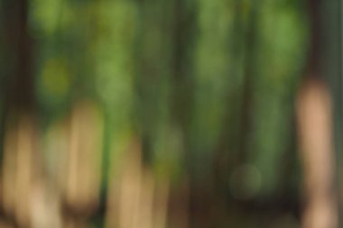 Yeşil doğa bulanık arka plan.