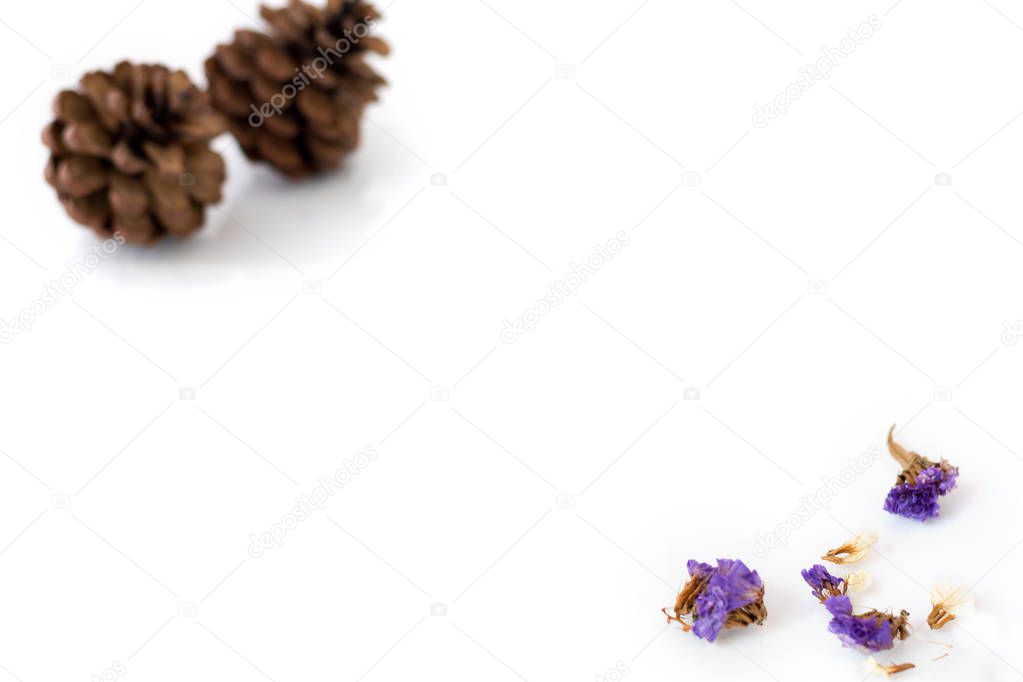 White background with small flowers