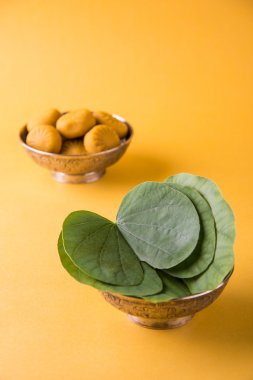 hint festivali dussehra veya vijayadashmi veya ayudh puja, gümüş kase geleneksel hint tatlılar pedha ile apta yaprağı veya Bauhinia racemosa gösteren
